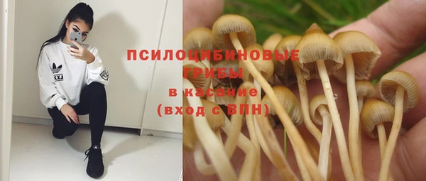 герыч Горнозаводск
