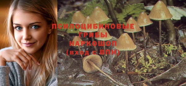 герыч Горнозаводск