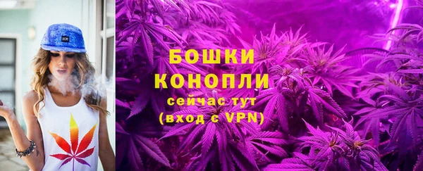 метадон Горняк