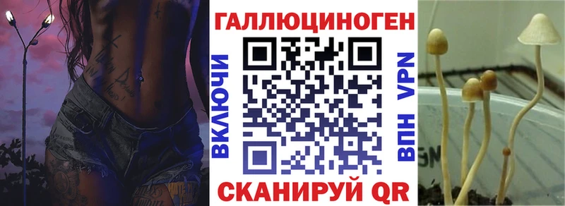 Купить  Елизаветинская  Псилоцибиновые грибы мухоморы 