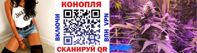 Каннабис план  Купить  Елизаветинская 